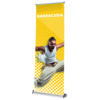 System roll-up Barracuda