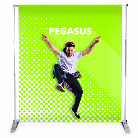 Pegasus 240x240 z zielonym wydrukiem tła