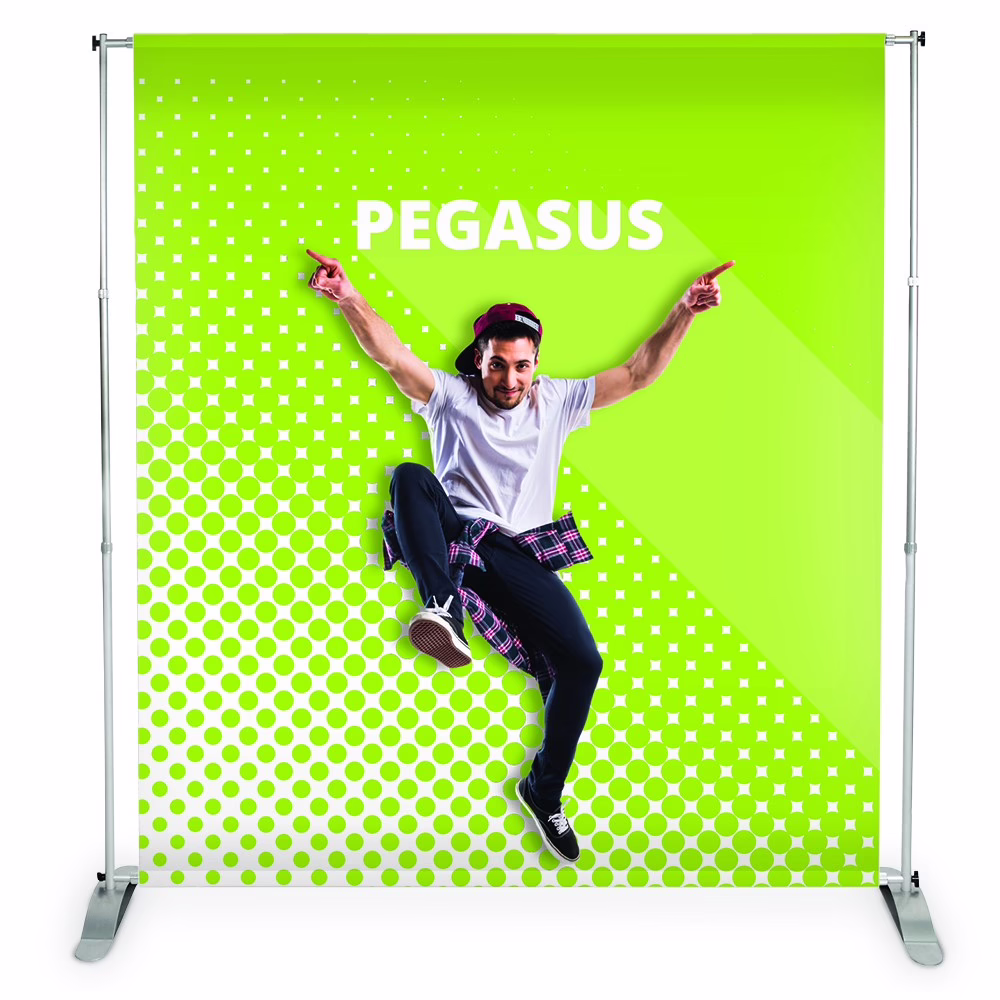 Pegasus 240x240 z zielonym wydrukiem tła